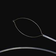 Тип тышкы тән формасы